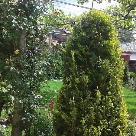 Trifonova * Kazanlak